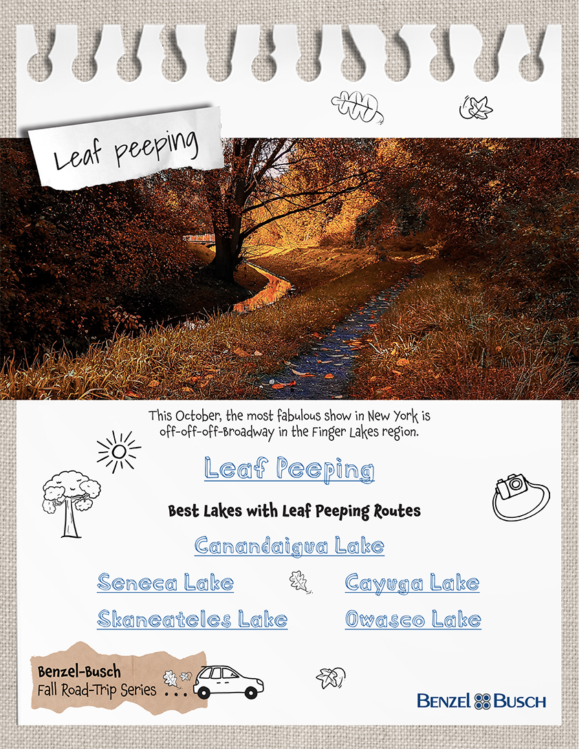 Seasonal road trip planning and destination guide visuals
