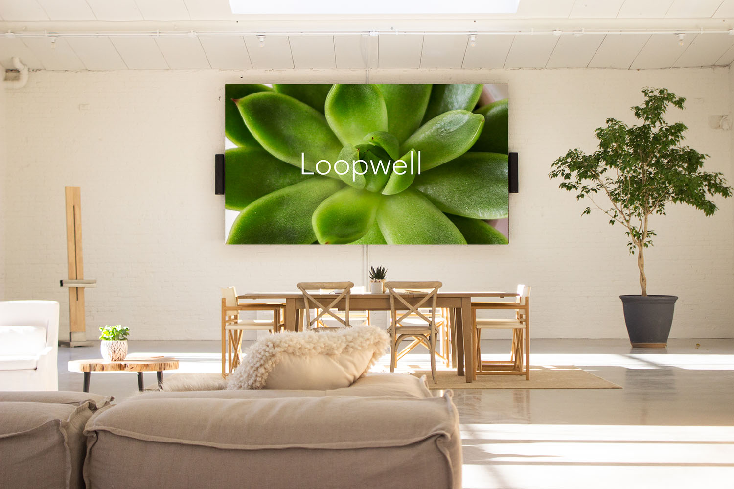 Loopwell branding on the large screen in the main space surrounded by plants and large windows